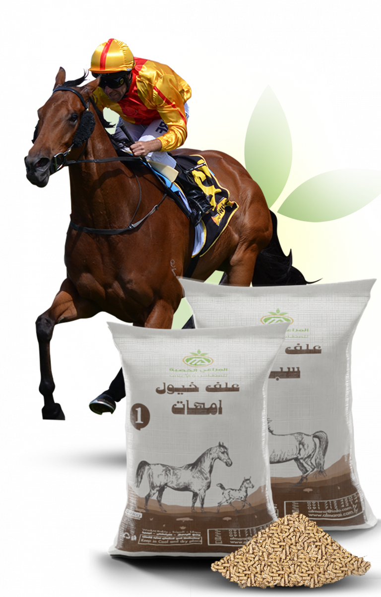 Horse Feeds Almarai Alkhisba
